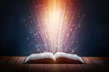 什么花的颜色和种类是最多的？