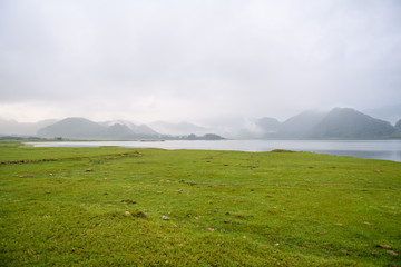 文学社可以开展什么活动呢-