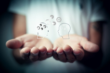 什么花的颜色和种类是最多的？