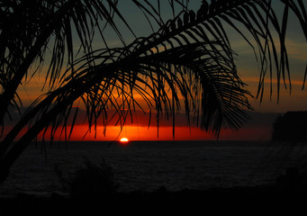 百科知识卷及答案