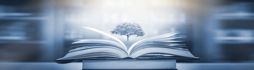 数学手抄报资料大全