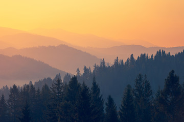 1000道四年级简便计算和笔算