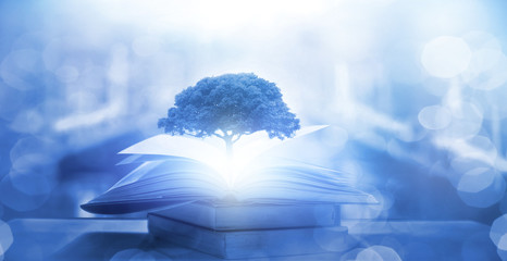 文学社可以开展什么活动呢-