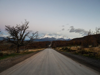 绿色食品牛奶有哪些