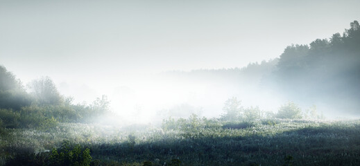 防溺水食品安全交通安全的手抄报 食品安全的手抄报