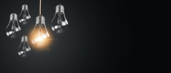 树懒为什么会趴在树上