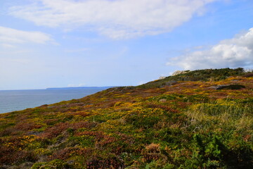 生活小百科的意思