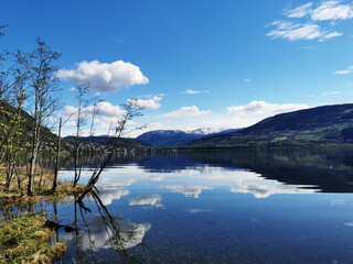 如何保养头发 10个头发护理必备常识