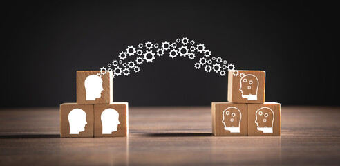 布偶猫容易得病吗？