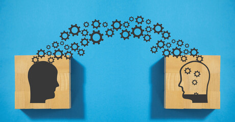 ninepercent所有人都分别去了哪些节目