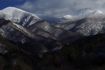如何预防传染病手抄报内容