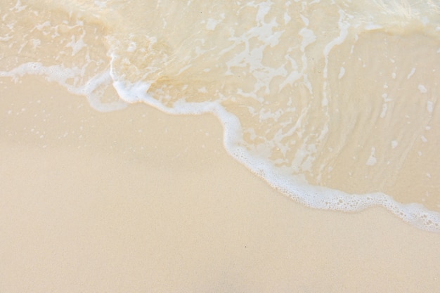 科普文常考的篇目和题型