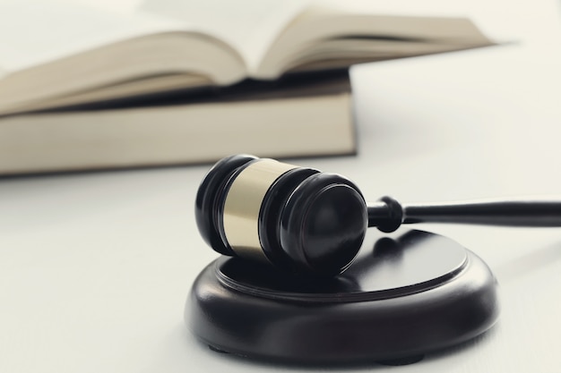 鱼类手抄报内容