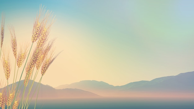 六年级数学日记：长方体和正方体