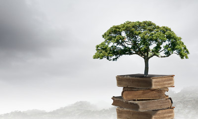 《方与圆》这本书讲的是什么？