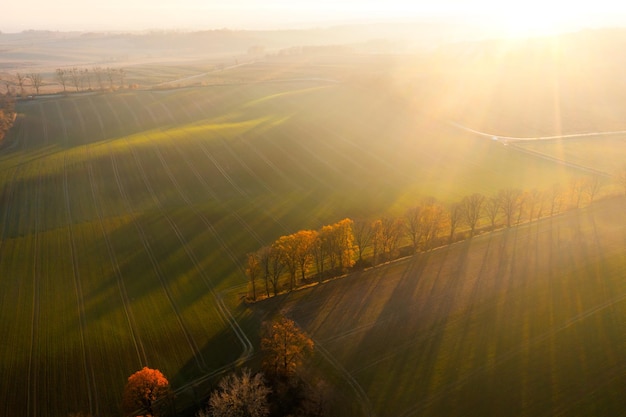 文学社可以开展什么活动呢-
