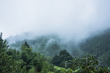 红色旅游的定义